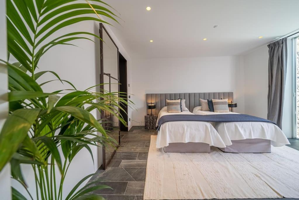 Villa Tenor 卡列罗港 外观 照片